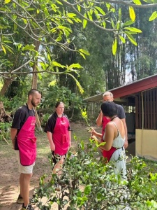 Organic Farm Cooking Experience 01/09/2026 — photo 4