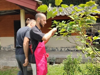 Organic Farm Cooking Experience 01/09/2026 — photo 22