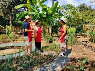 Organic Farm Cooking Experience 08/09/2026 — photo 4