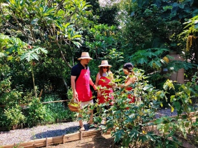 Organic Farm Cooking Experience 08/09/2026 — photo 10