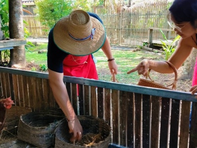 Organic Farm Cooking Experience 08/09/2026 — photo 17