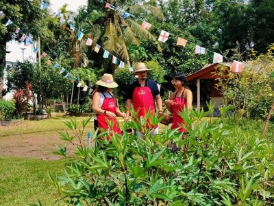 Organic Farm Cooking Experience 08/09/2026 — photo 19