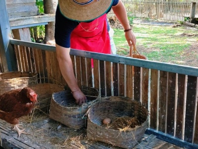 Organic Farm Cooking Experience 08/09/2026 — photo 24