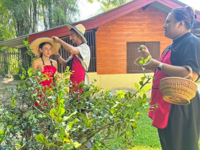 Best Thai Cooking Class in Chiang Mai 14/09/2026 — photo 41