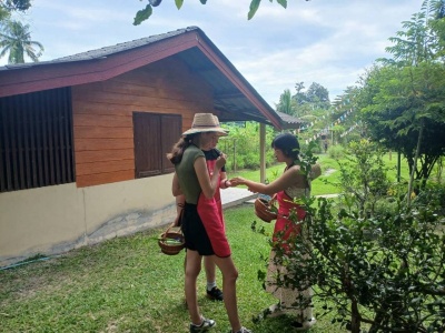 Organic Farm Cooking Experience 15/09/2026 — photo 40