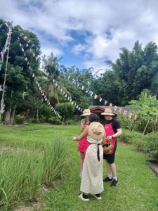 Organic Farm Cooking Experience 15/09/2026 — photo 42