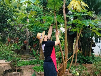 Organic Farm Cooking Experience 15/09/2026 — photo 43