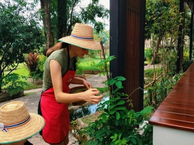 Organic Farm Cooking Experience 15/09/2026 — photo 45