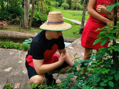 Organic Farm Cooking Experience 15/09/2026 — photo 47