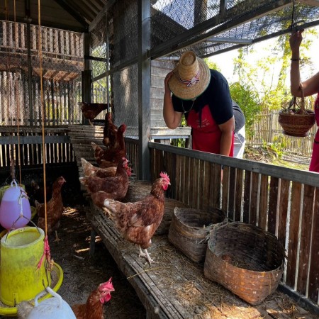 Organic Farm Cooking Experience 22/09/2026 — photo 56