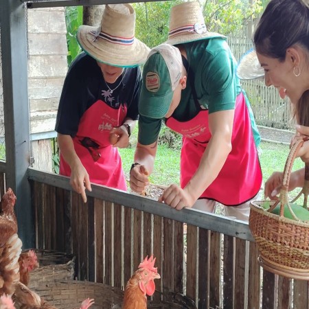 Organic Farm Cooking Experience 29/09/2026 — photo 37