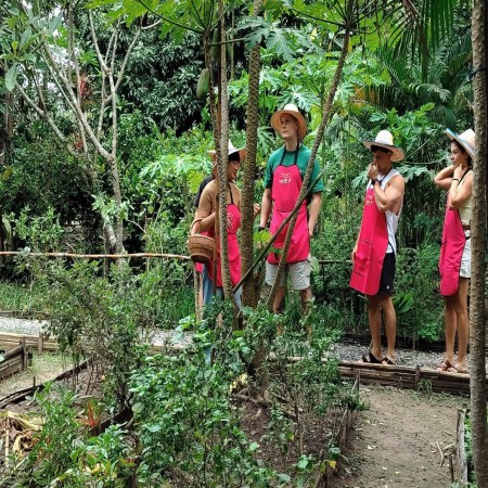 Organic Farm Cooking Experience 29/09/2026 — photo 49