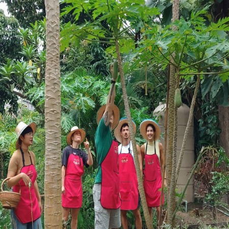 Organic Farm Cooking Experience 29/09/2026 — photo 48