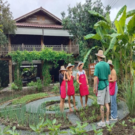 Organic Farm Cooking Experience 29/09/2026 — photo 52