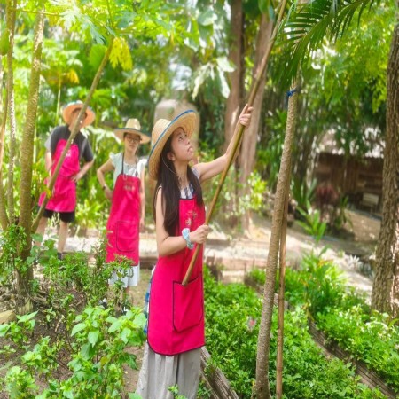 Organic Farm Cooking Experience 06/10/2026 — photo 1