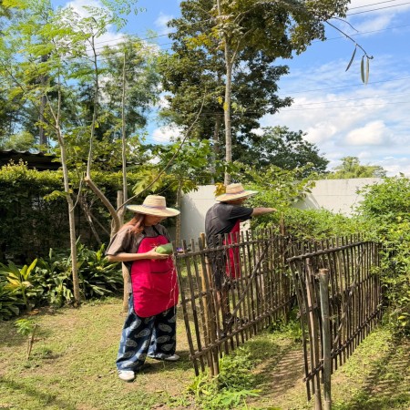 Organic Farm Cooking Experience 06/10/2026 — photo 19