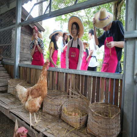 Full course at farm (only morning) (1,200 baht/person)