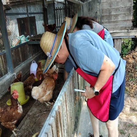 Organic Farm Cooking Experience  20/10/2026 — photo 11