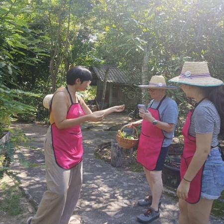 Organic Farm Cooking Experience  20/10/2026 — photo 27