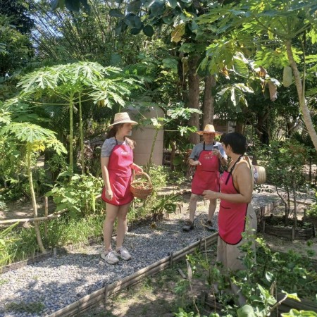 Organic Farm Cooking Experience  20/10/2026 — photo 28