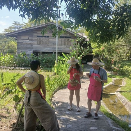Organic Farm Cooking Experience  20/10/2026 — photo 30