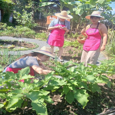 Organic Farm Cooking Experience  20/10/2026 — photo 31