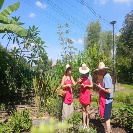 Organic Farm Cooking Experience  20/10/2026 — photo 32