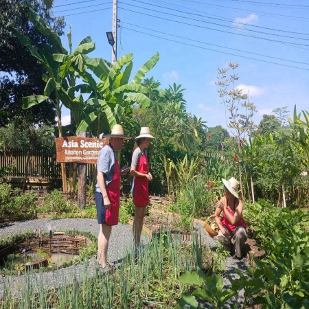 Organic Farm Cooking Experience  20/10/2026 — photo 33