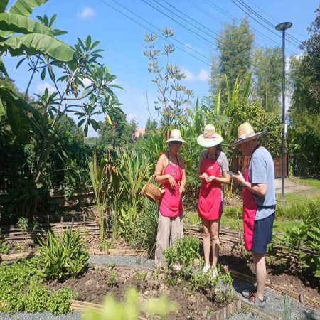 Organic Farm Cooking Experience  20/10/2026 — photo 35